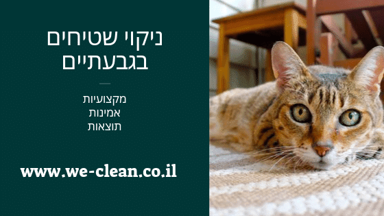 ניקוי שטיחים בגבעתיים - חברת ניקיון ווי קלין