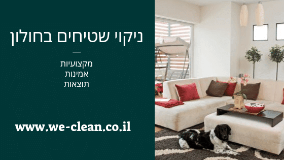 ניקוי שטיחים בחולון - WeClean