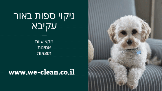 ניקוי ספות באור עקיבא - WeClean