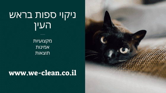 ניקוי ספות בראש העין - WeClean